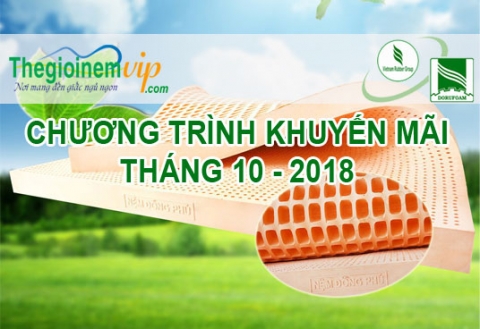Khuyến mãi nệm Đồng Phú - DORUFOAM tháng 10/2018 tại Thế Giới Nệm Vip